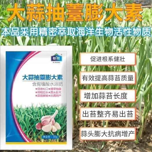 郑州大蒜抽苔松口膨大专用叶面肥快速出苔蒜头增粗拉长蒜苔抗病增产