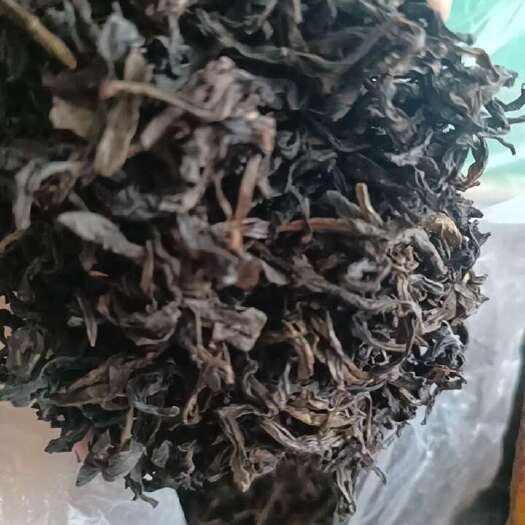 汕头大红袍