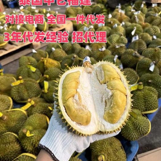 昆明甲仑