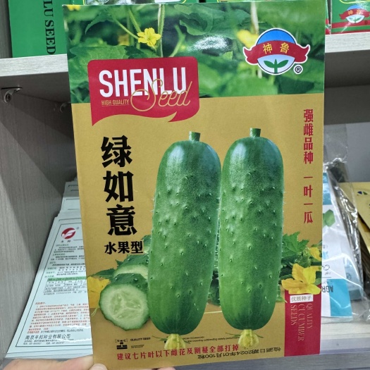 淮安绿如意水果型黄瓜种子强雌挂果多果皮青绿肉浅绿口感清香细腻丰产
