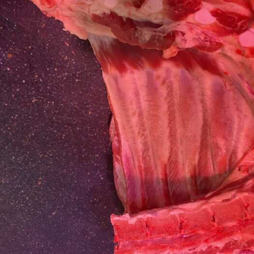 猪肉