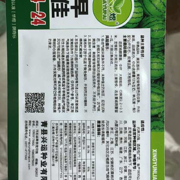 西瓜种子8424麒麟西瓜种子早熟南方新品种特大超甜西瓜子