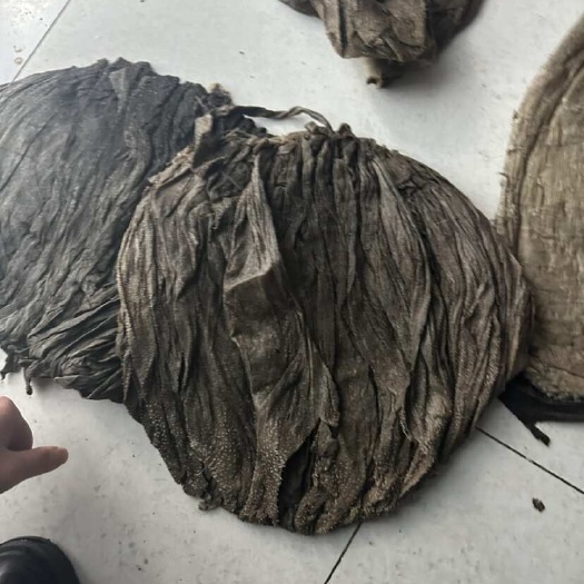 长沙盐百叶