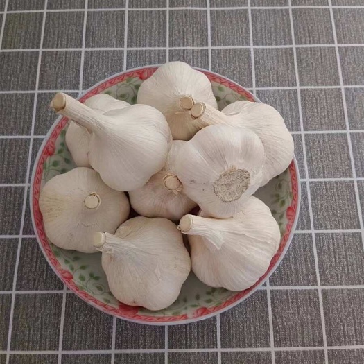 兰陵县大蒜