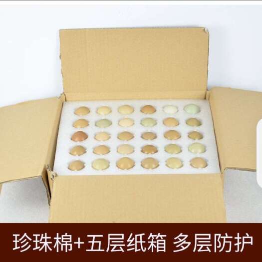 商河县七彩山鸡蛋