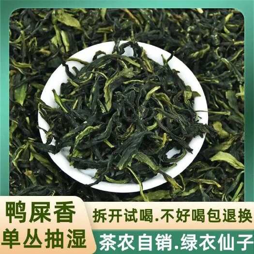 潮州潮州凤凰新茶2025年清香型绿茶鸭屎香，口感清淡型，花香浓郁