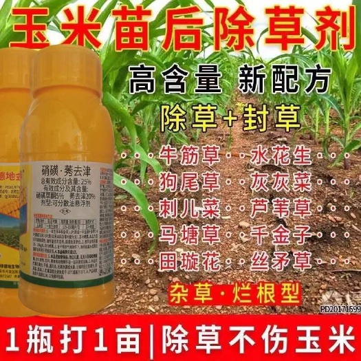 玉米田硝磺草酮莠去津除草剂安全甜玉米糯玉米安全除草