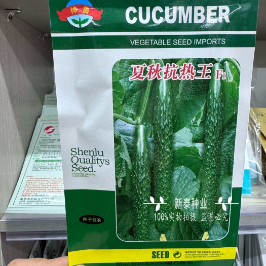 夏秋抗热王F1黄瓜种子青瓜密刺耐热黄瓜种籽抗病高产绿瓤黄瓜种