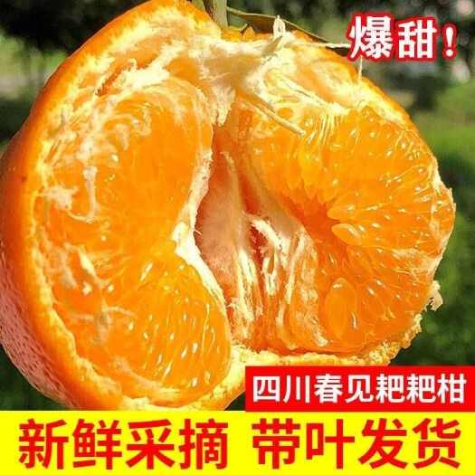 长沙县春见粑粑柑