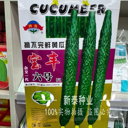淮安宝丰六号黄瓜种子青瓜密刺抗病高产黄瓜种籽春秋高产绿瓤黄瓜种孑