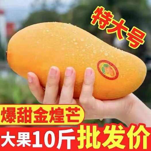 勐海县海南金煌芒水仙芒果新鲜热带水果应当季现摘青甜心芒整箱包邮