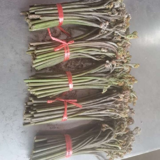 结菜。