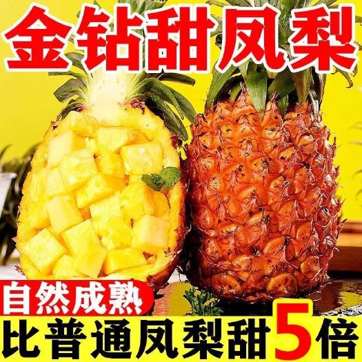 【甜树上熟】纯甜金钻凤梨新鲜应季水果5～9斤包邮
