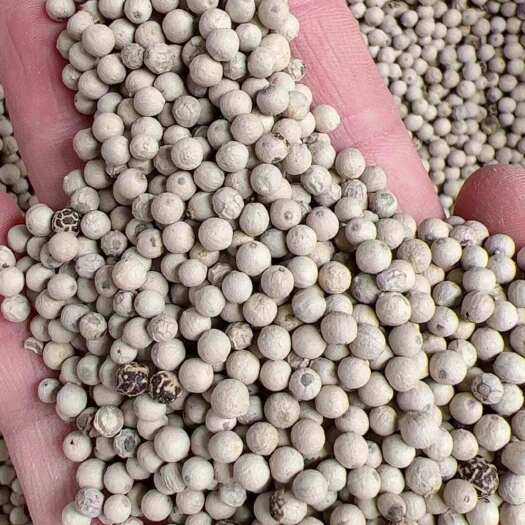 玉林黑胡椒/白胡椒/胡椒研磨器 香料火锅配料