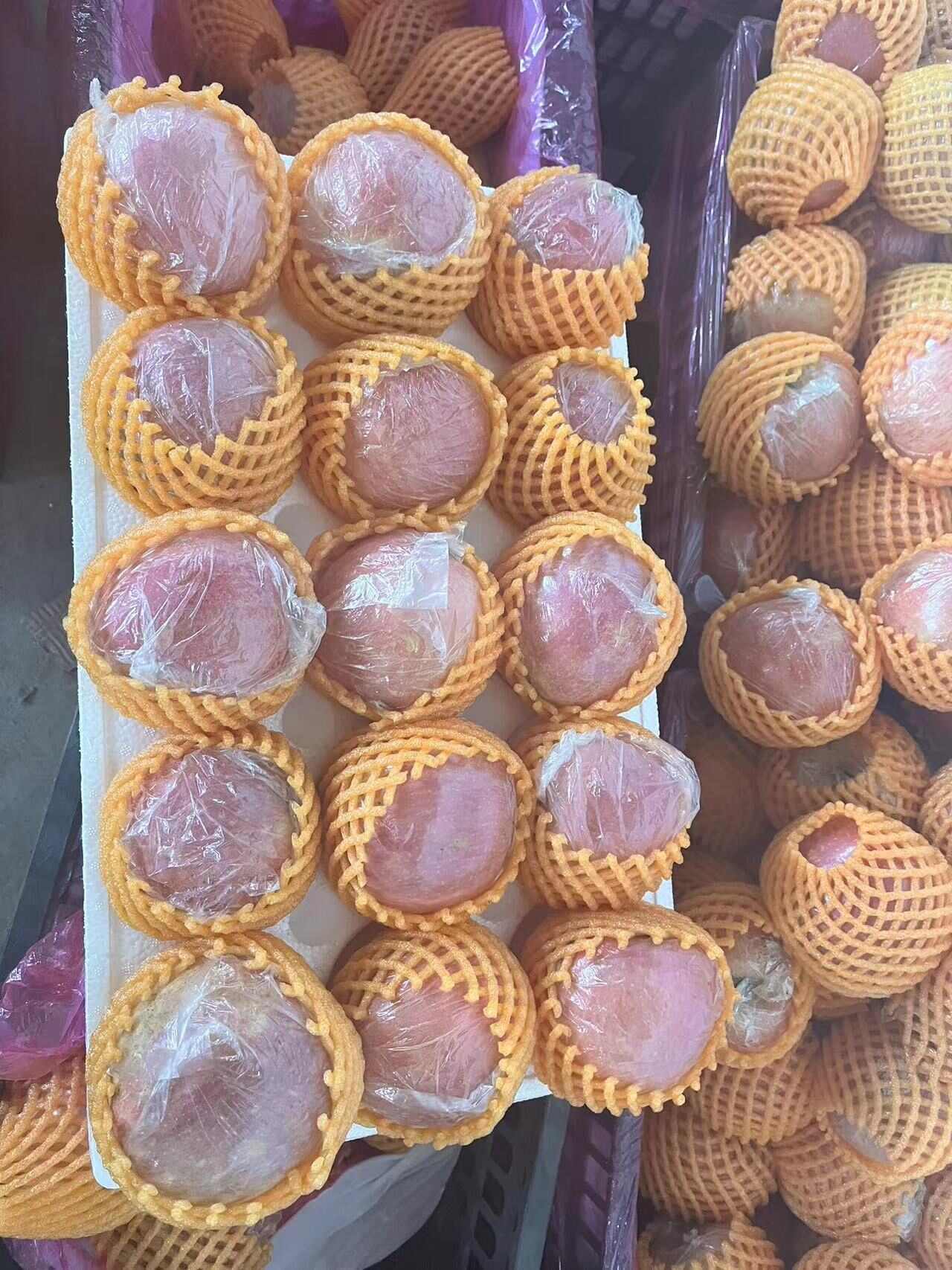万荣红富士苹果