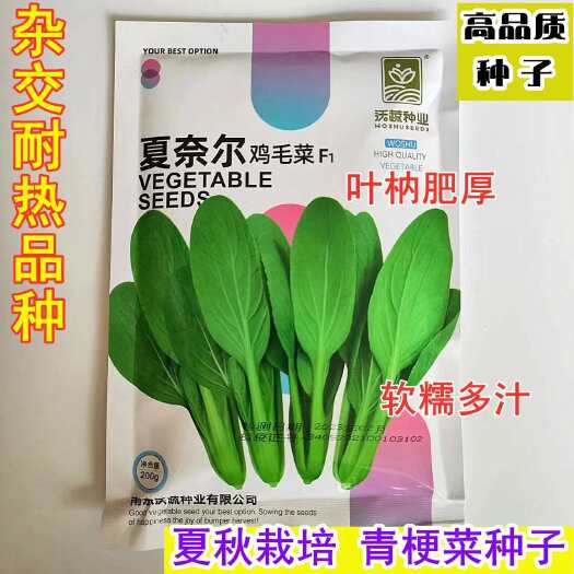 沭阳县青梗菜种子夏奈尔鸡毛菜种子抗热耐雨夏秋播小白菜小青菜种籽