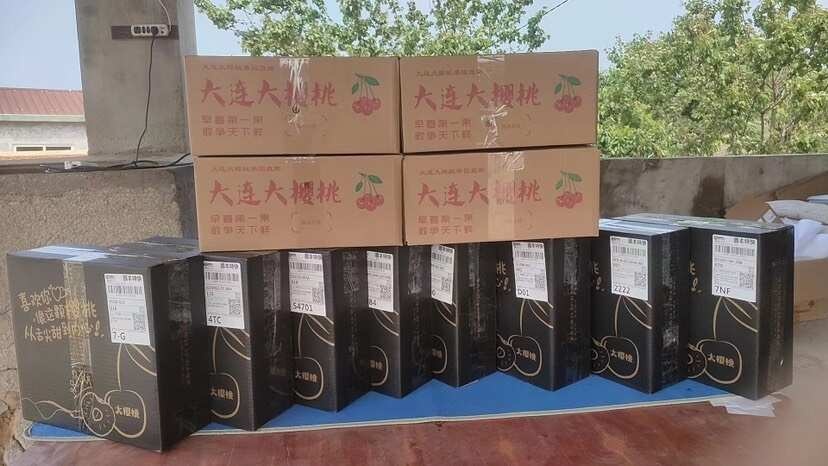 大连美早大樱桃