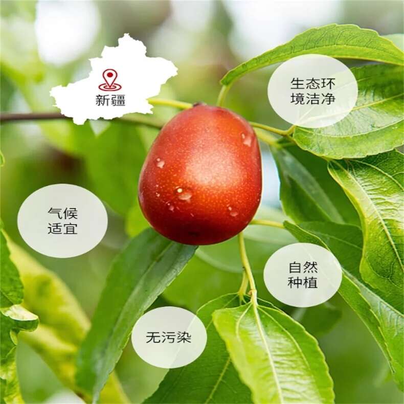 新疆紅棗干片 泡茶 無核紅棗圈