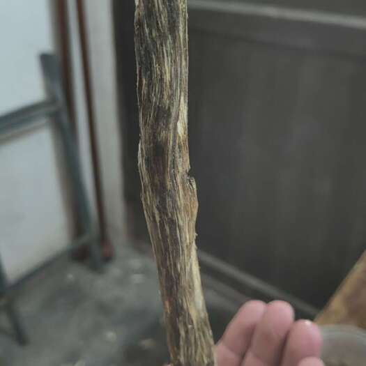 琼海市海南沉香 香味纯正