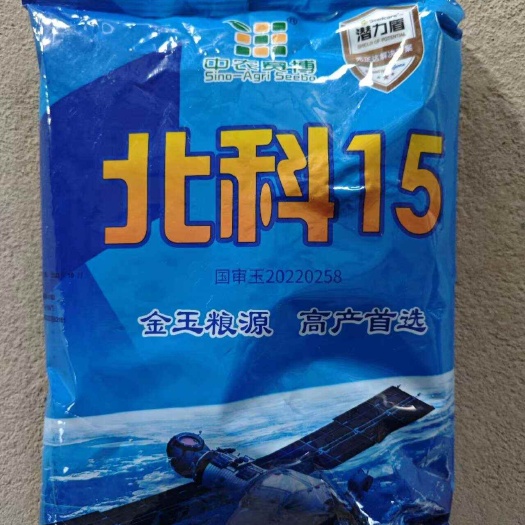 永清县黄豆种子 玉米种子 公司批发直销