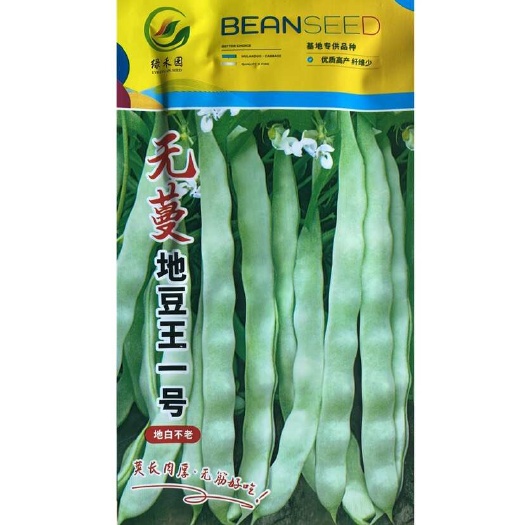 樟树市无蔓地豆角王一号四季豆种子四季豆种子
