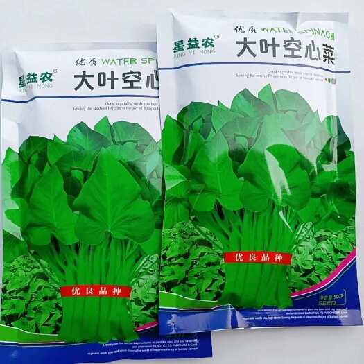 沭阳县大叶空心菜种子耐高温高湿空心菜种子大叶绿色品质好空心菜种子