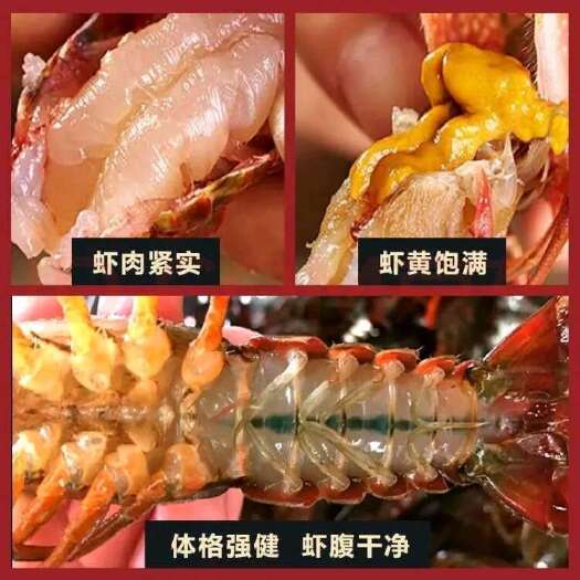 公安县小龙虾