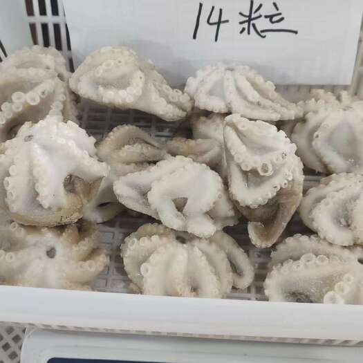 三去盐磨翻花八爪鱼，高品质，脆，鲜