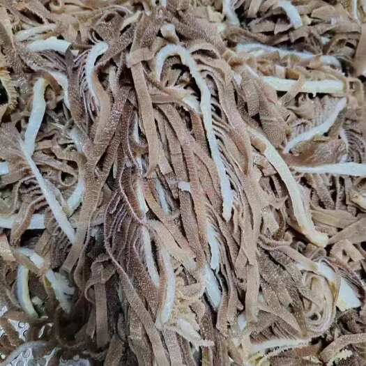 成都牛毛肚 鲜货千层肚丝，一包5斤一件50斤，厂家直发