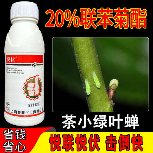 广州悦联悦伏20%联苯菊酯茶小绿叶蝉茶树专用农药杀虫剂农用正品
