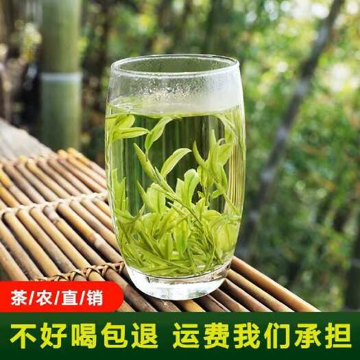 2024新茶预售一杯香龙井茶明前茶叶自己喝绿茶春茶250克