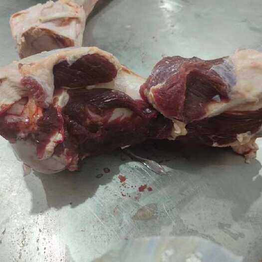 锡林浩特带肉牛棒骨 内蒙牧区直发 品质保证 量大从优 欢迎咨询