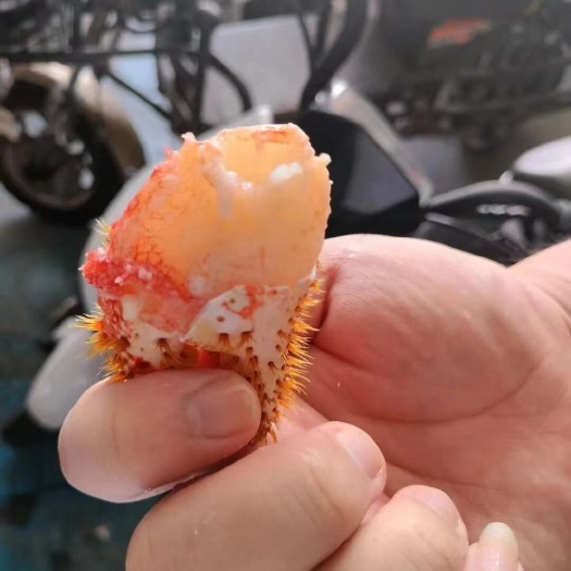 自助餐走量毛蟹脚