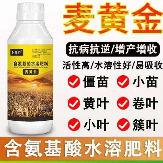 郑州麦黄金