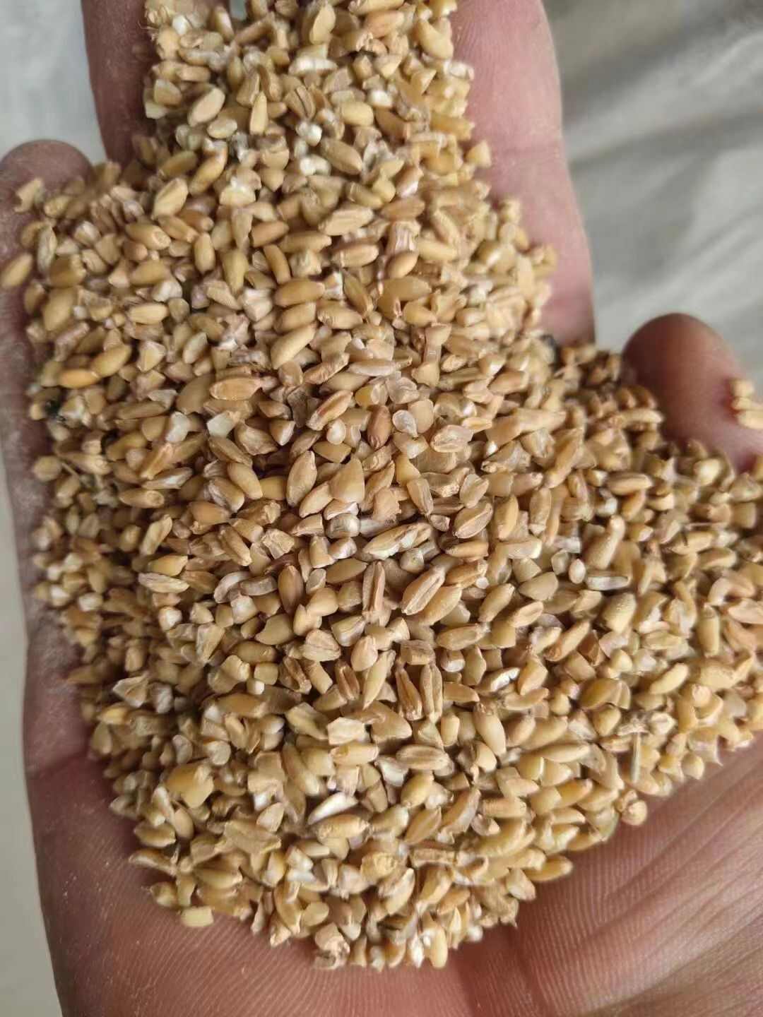 碎小麦，碎麦，小麦，小麦下脚料