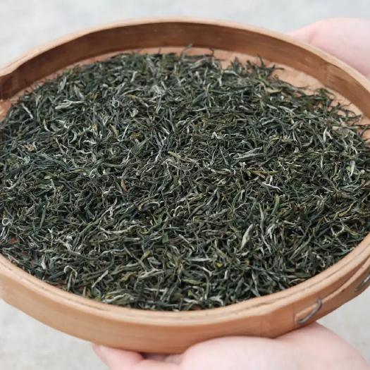 苍梧县云雾茶