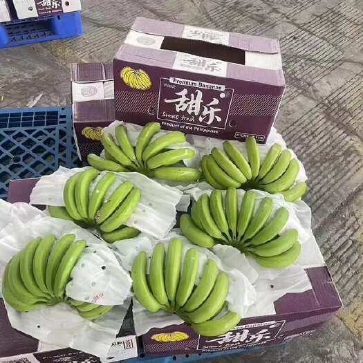 上海精品菲律宾二级蕉，做的就是品质，统一规模4-5-6