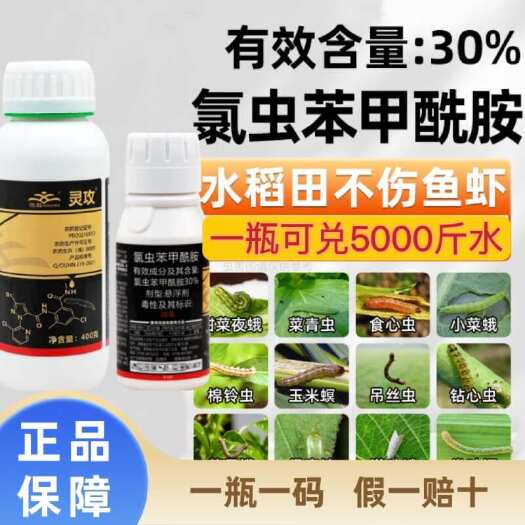 寿光市中迅30%氯虫苯甲酰胺食心虫钻心虫水稻老牌子国产康宽农药批发