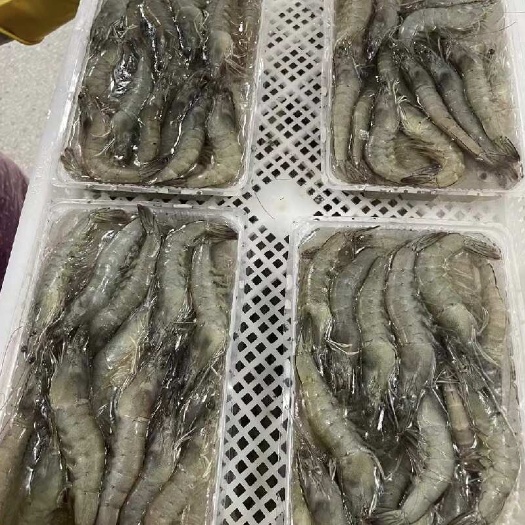 北海南美白对虾30-40 40-50