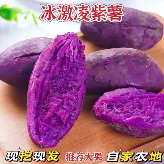 沂水县紫薯新鲜番薯地瓜农家蜜薯珍珠紫罗兰沙地薯糖心山芋包邮