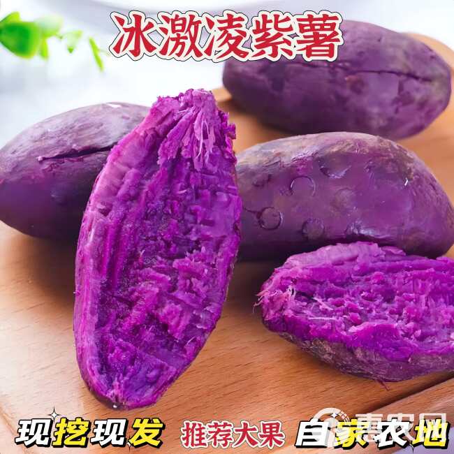 紫薯新鲜番薯地瓜农家蜜薯珍珠紫罗兰沙地薯糖心山芋包邮