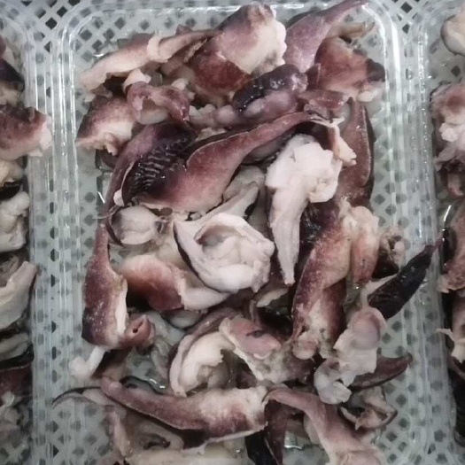 脆口墨鱼头皮碎肉