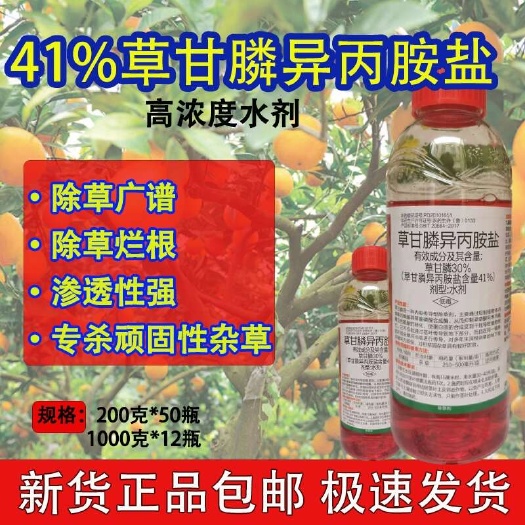 荥阳市半米深草甘膦高浓度绿德地大厂除草剂灭草剂一扫光烂根茅草狗尾草