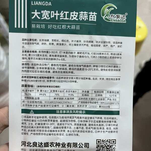 红根蒜苗种子红根香蒜硬叶蒜苗一年四季三茬连续均可种植蒜苗种籽