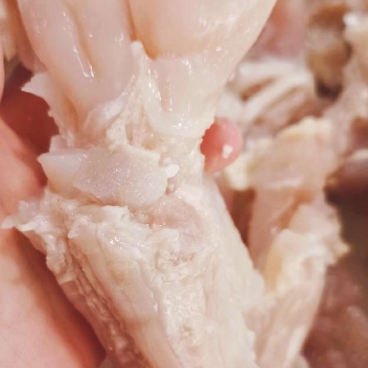 熟牛蹄筋，纯干无油无毛，精心挑选去毛，品质好，质量保证