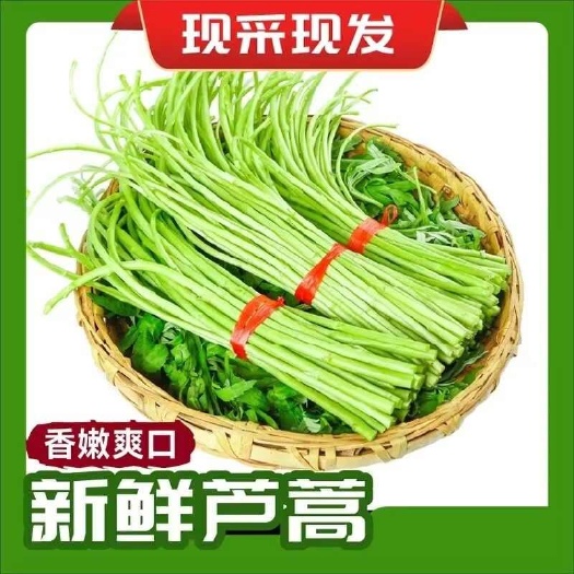 泗陽縣蘇北頭茬蘆蒿，黎蒿，自產自銷，沒有任何中間商