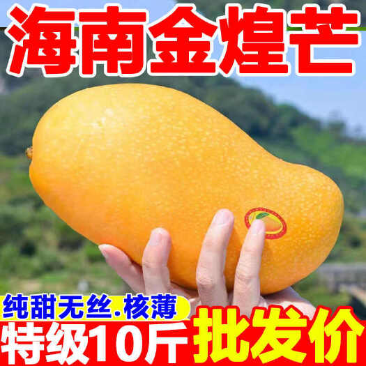 三亚海南三亚金煌芒，自家果园大果从不打农药请放心吃