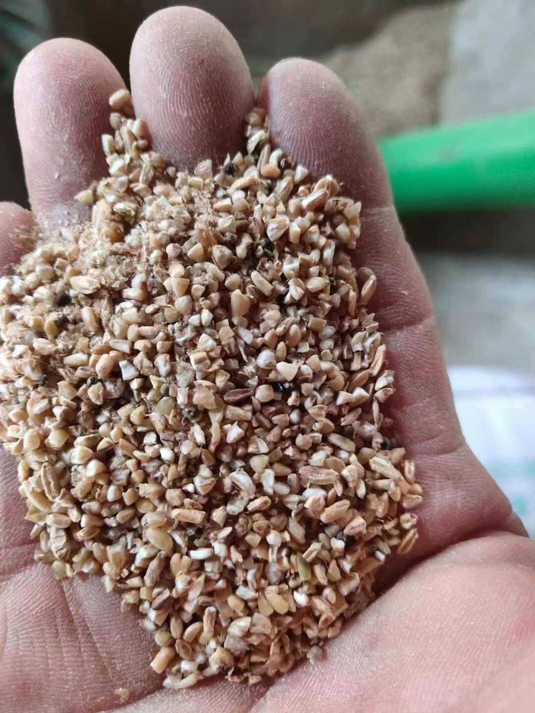 碎小麦，碎麦，小麦，小麦下脚料