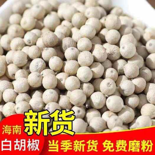 亳州白胡椒 无硫 水洗全干无硫又香又辣味道浓 批发零售各种中药材