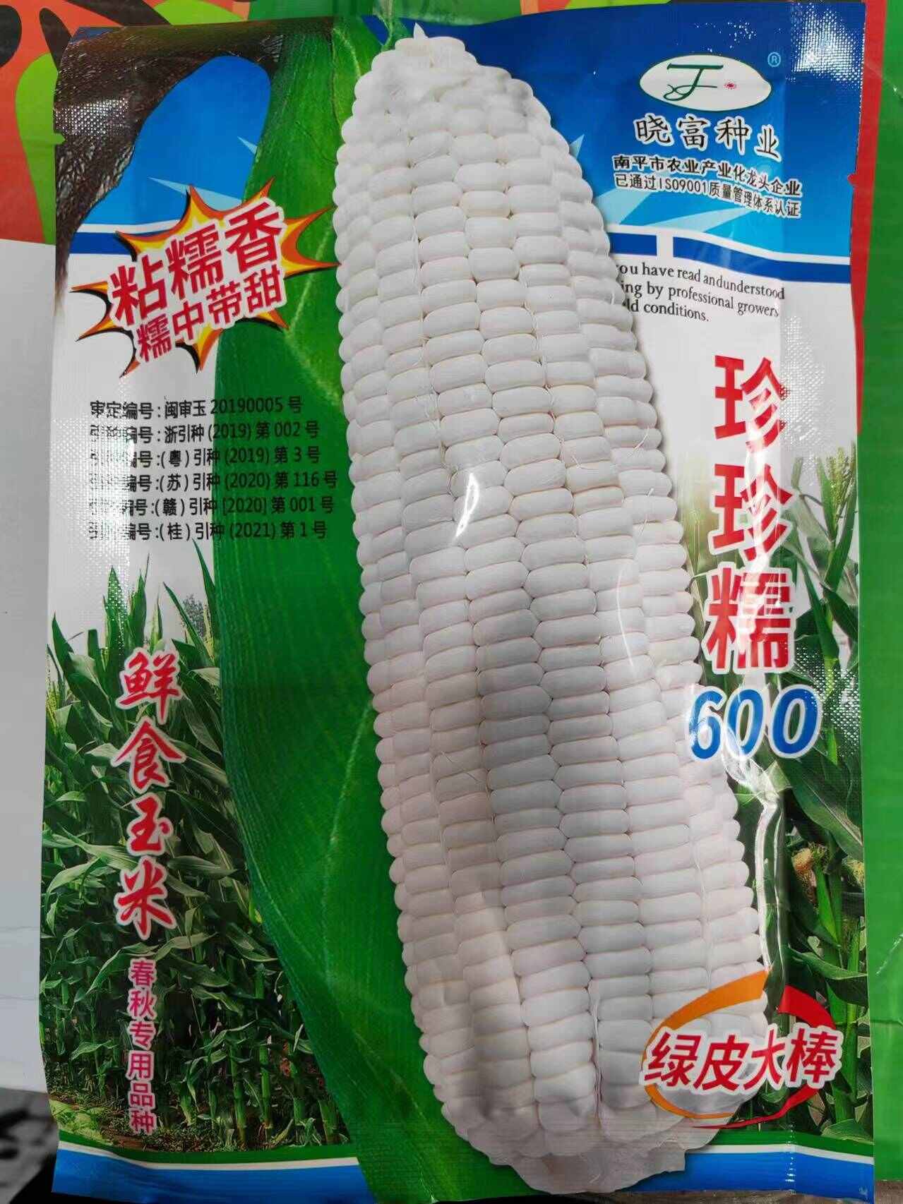 白鲜食玉米种子